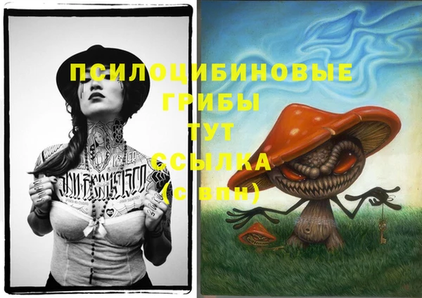 гидропоника Баксан
