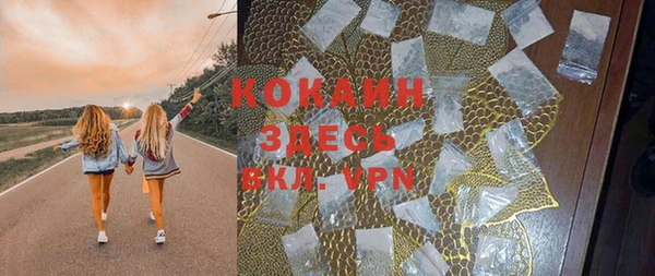 индика Белоозёрский
