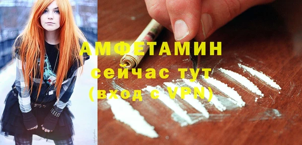 индика Белоозёрский