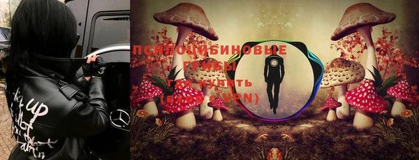 первитин Белокуриха