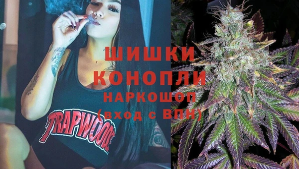 индика Белоозёрский