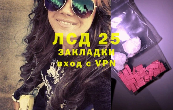 индика Белоозёрский