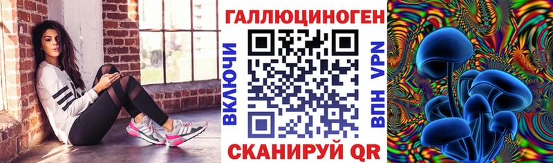 Псилоцибиновые грибы Cubensis  Армавир 